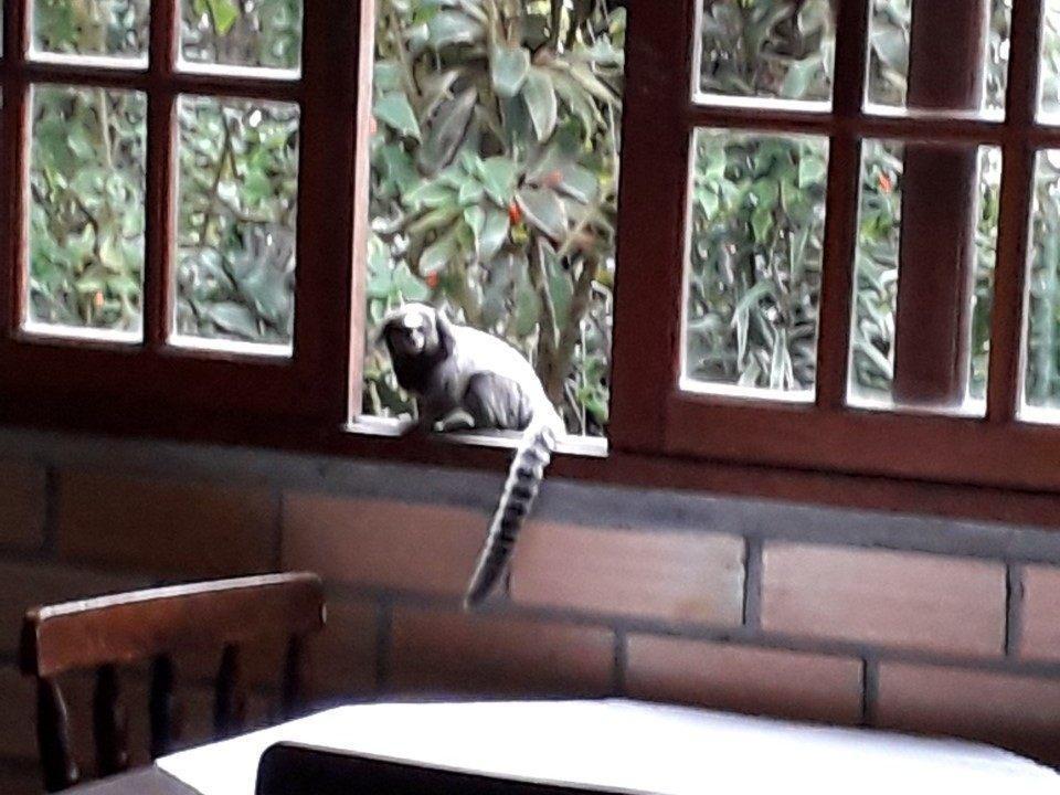 Pousada Dona Francisca Florianópolis Екстериор снимка